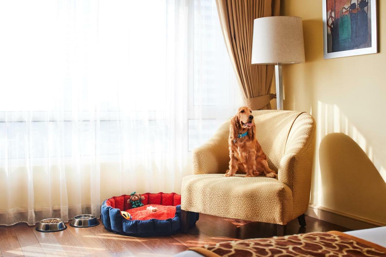 President - Ihcl Seleqtions Hotel Мумбай Екстериор снимка A dog in a hotel room